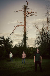 Field of Bronze Photo Shoot