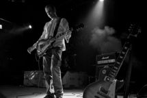 Black Dog at the Peacock Room